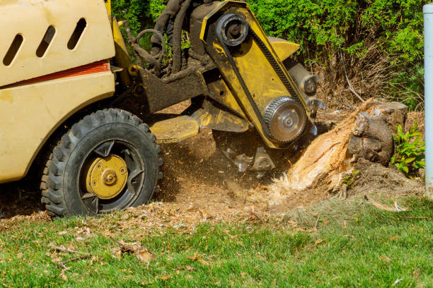 Lawn Grading and Leveling in Norwood, OH